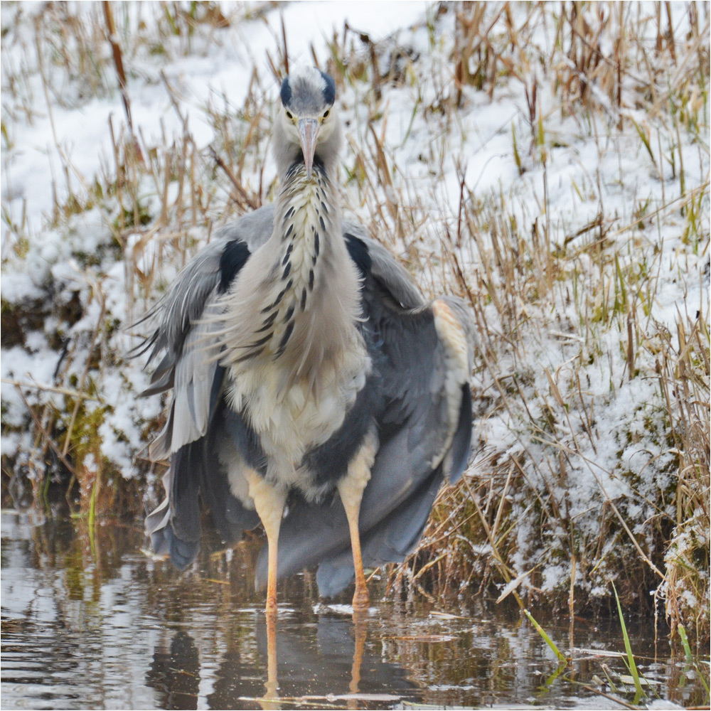 Schnee von gestern . . .