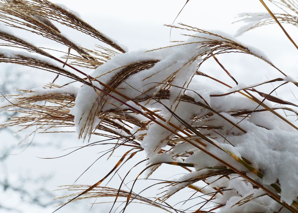 Schnee von gestern