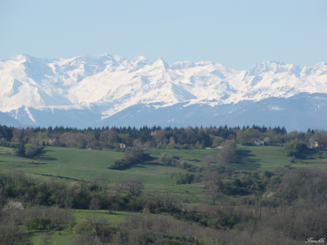 Schnee von Gestern