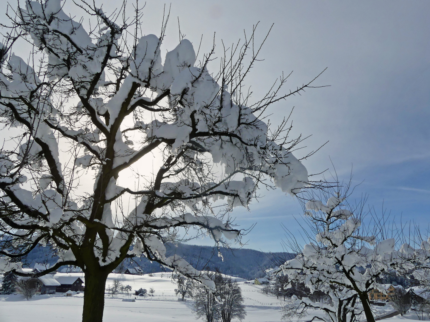 Schnee von gestern