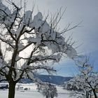 Schnee von gestern