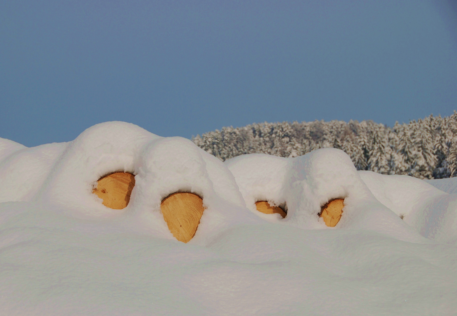 Schnee von gestern