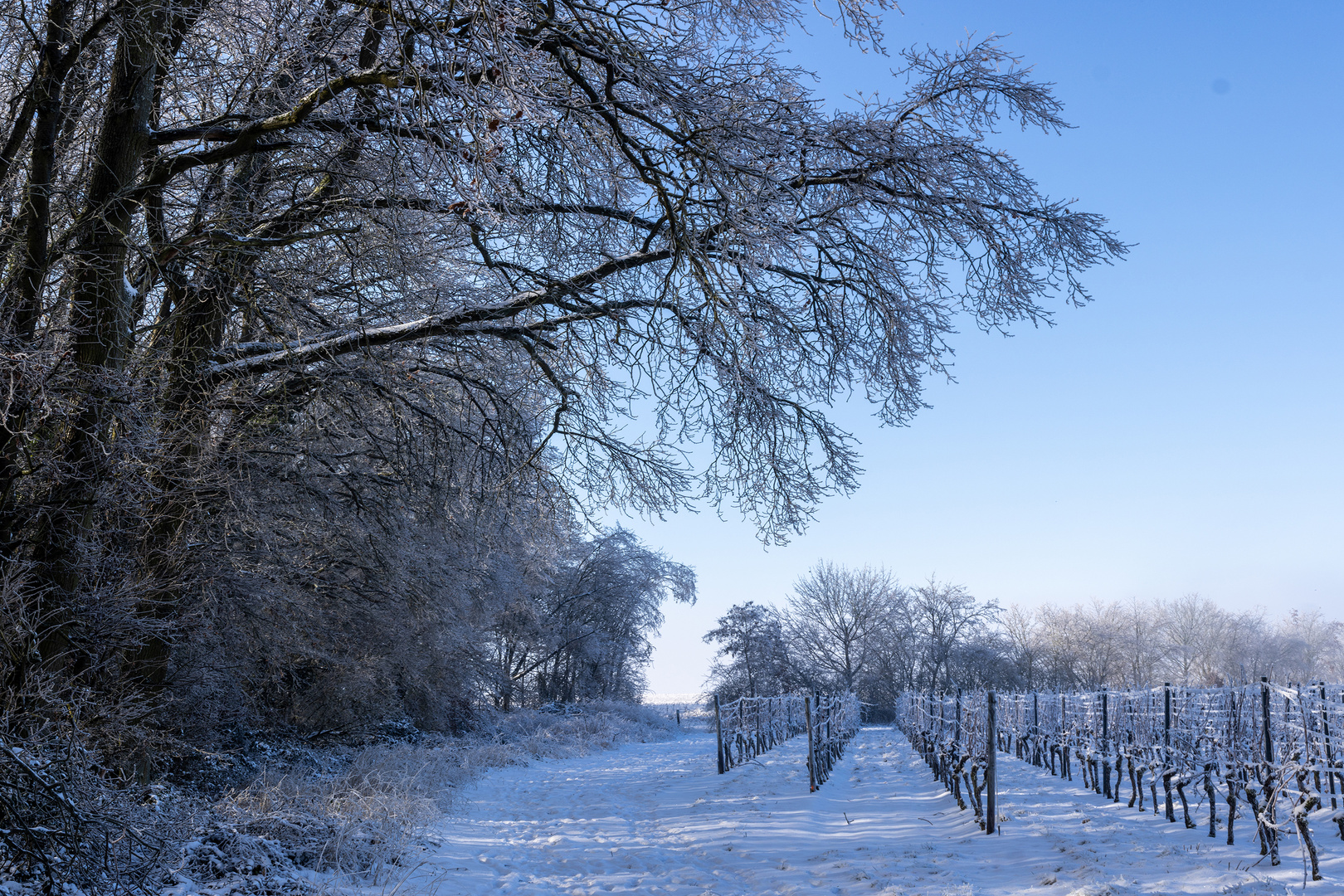 Schnee von gestern