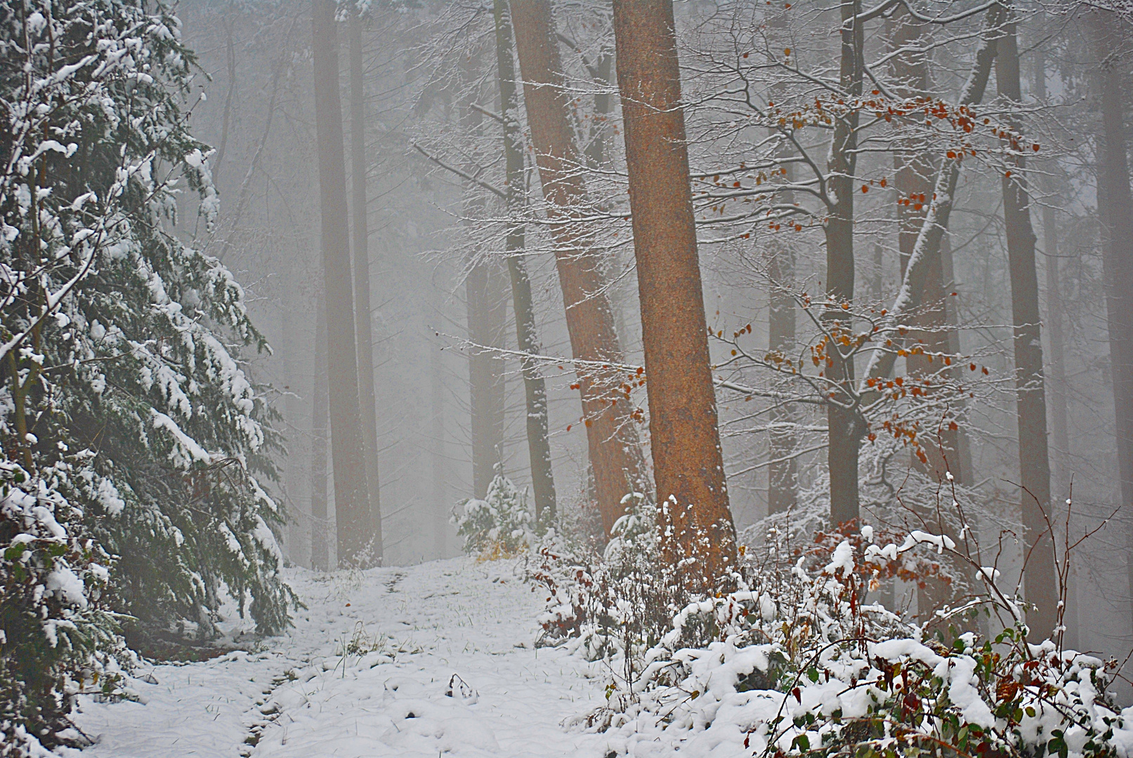 Schnee von gestern...