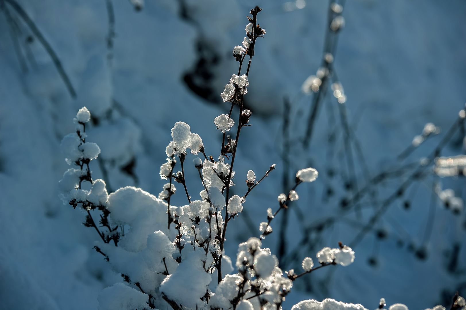 Schnee von gestern