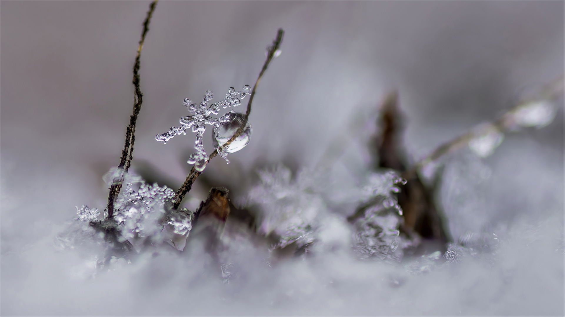 schnee von gestern