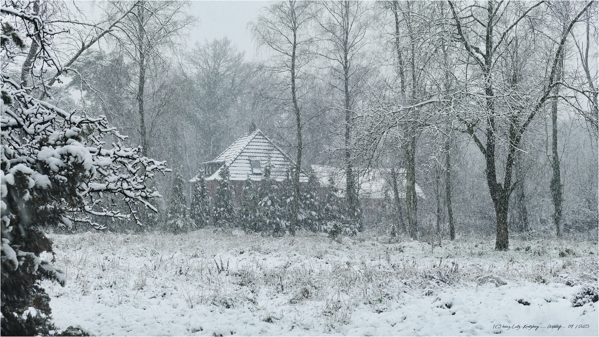 Schnee von gestern ..