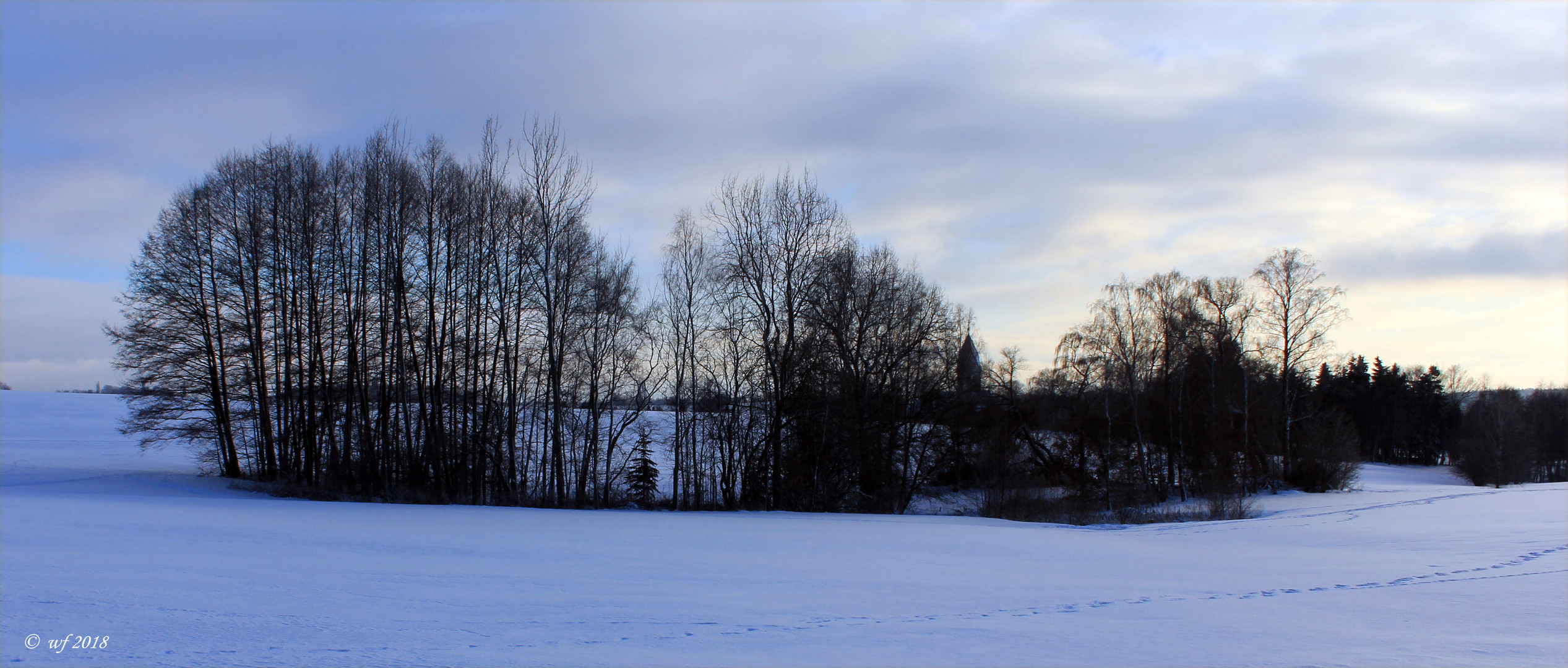 Schnee von gestern Foto & Bild | landschaft, jahreszeiten, winter ...
