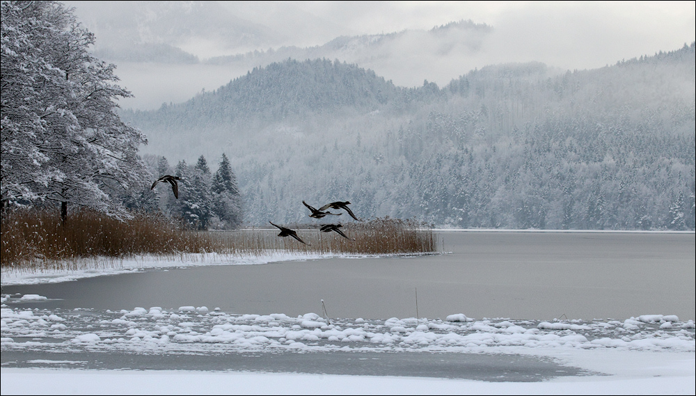 Schnee von gestern....