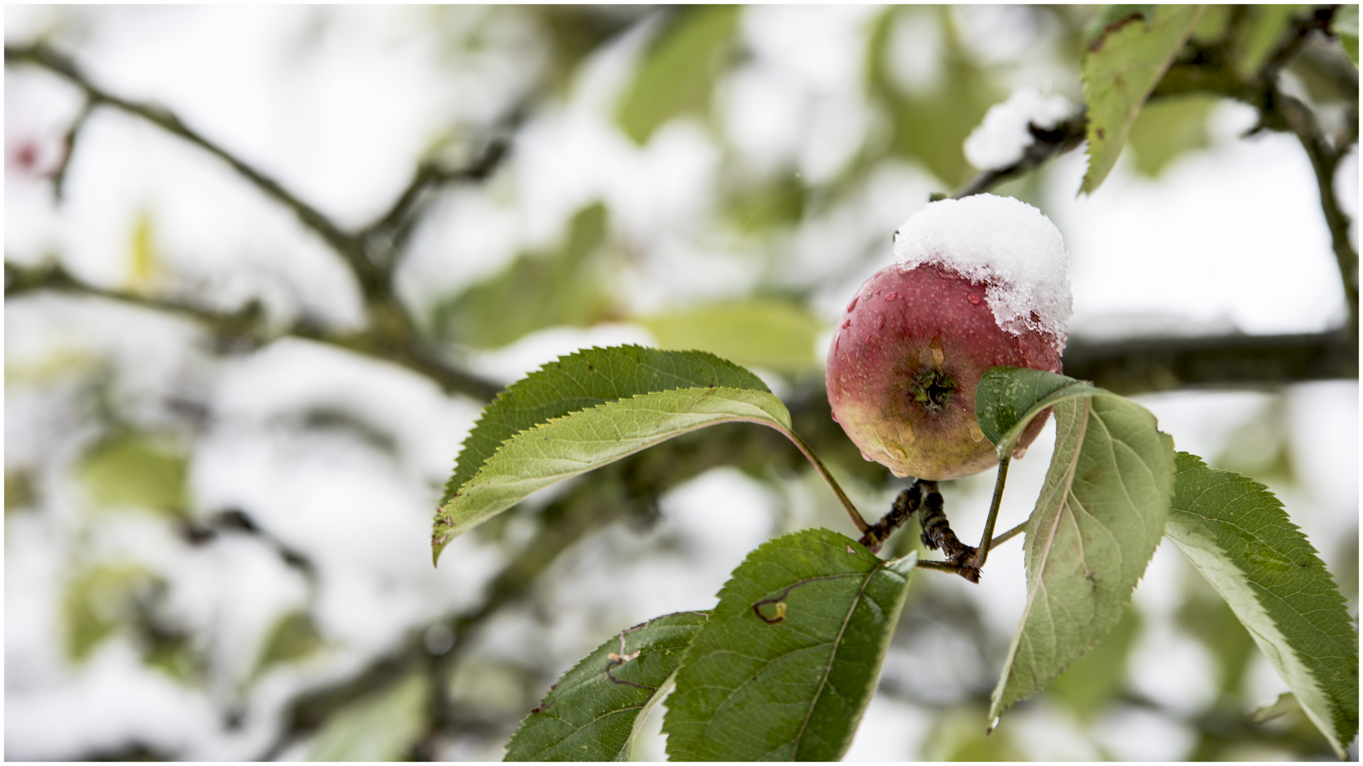 schnee von gestern ...