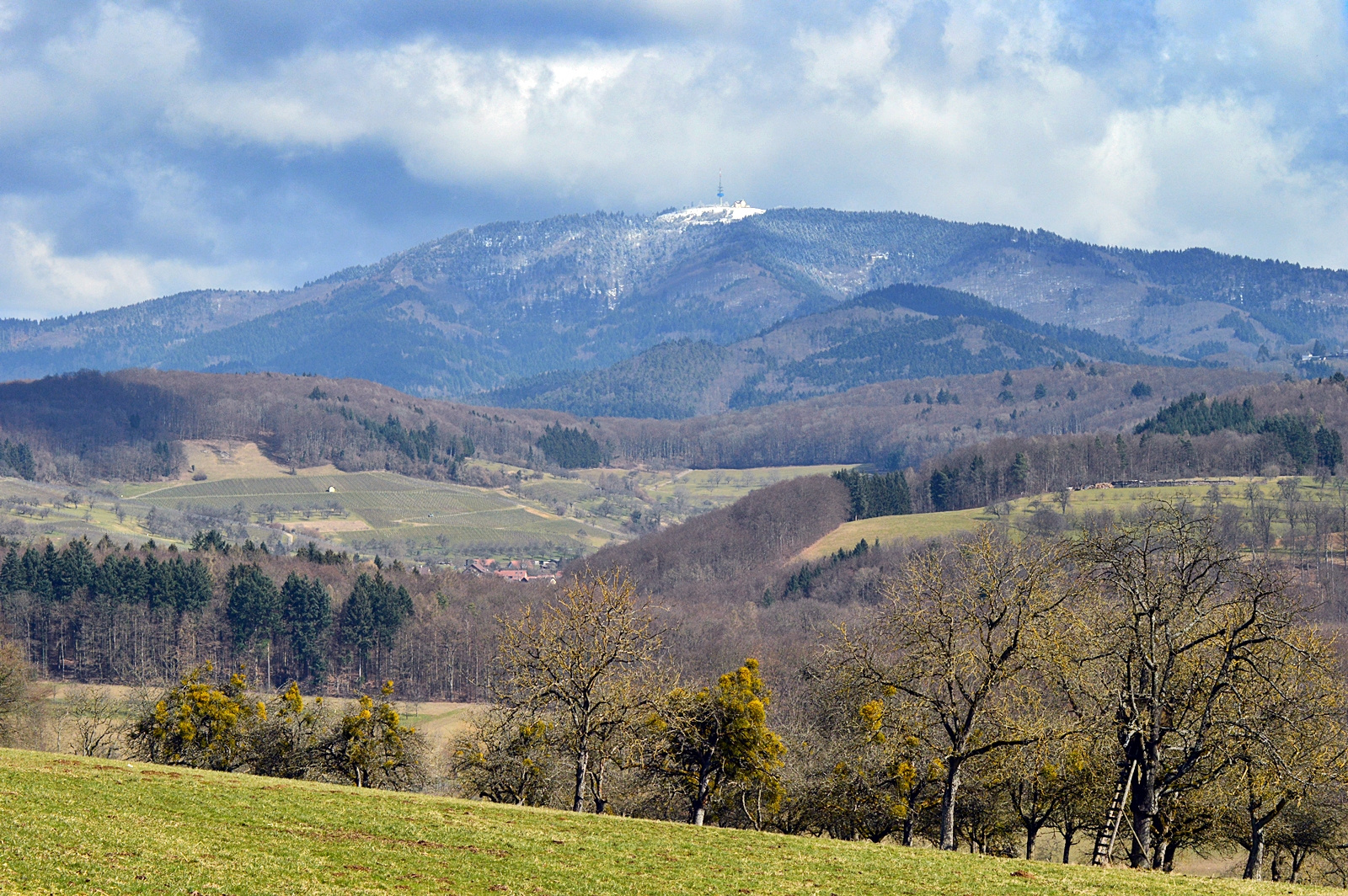 ~~~ Schnee von Gestern ~~~