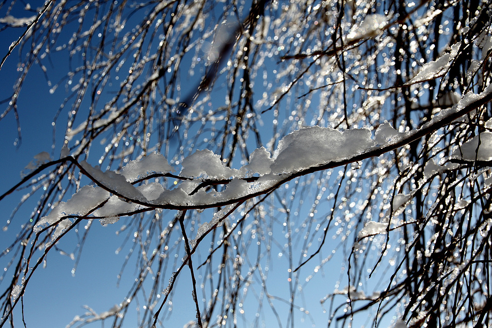 Schnee von gestern