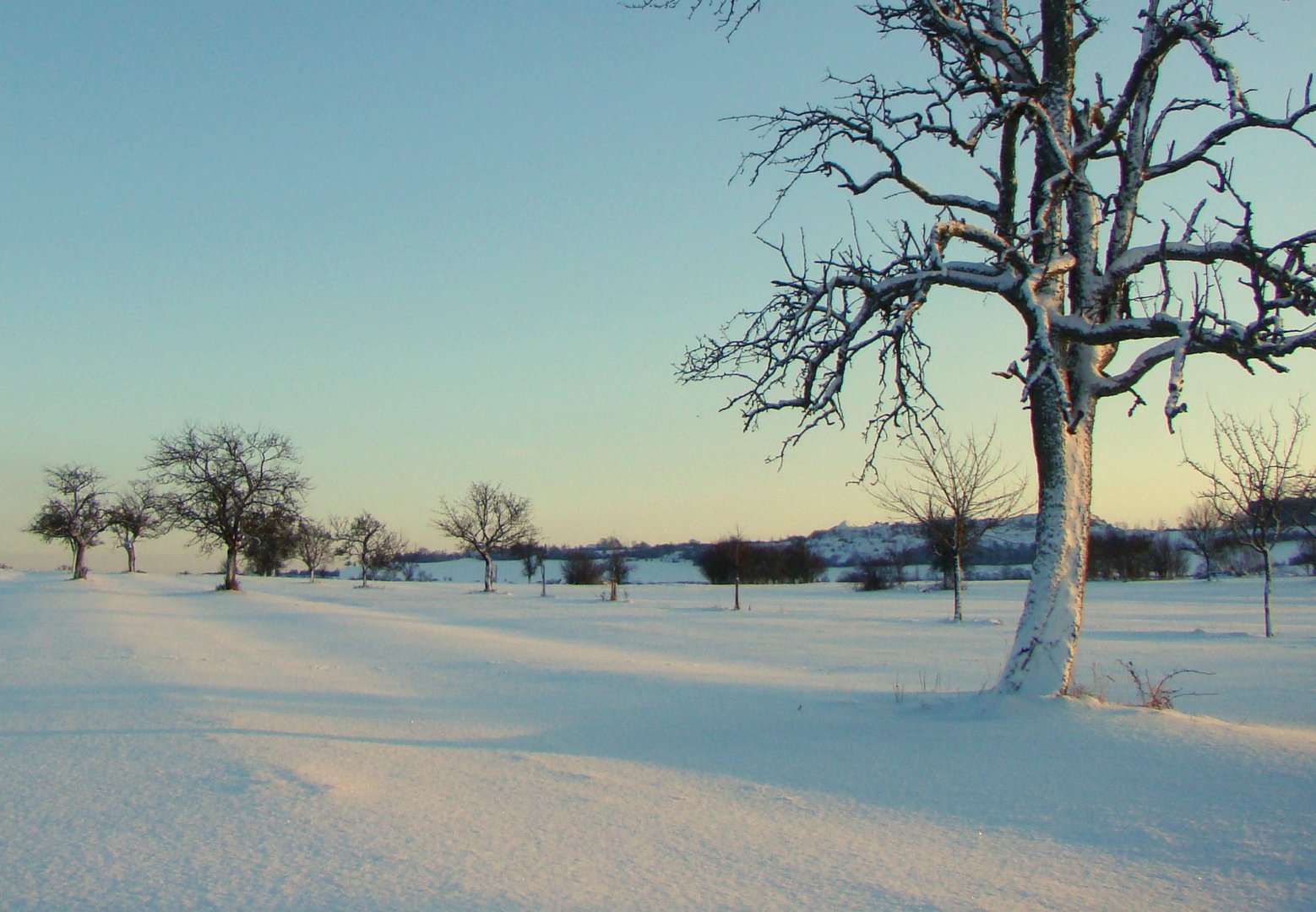 Schnee von gestern..........