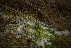 Schnee von gestern