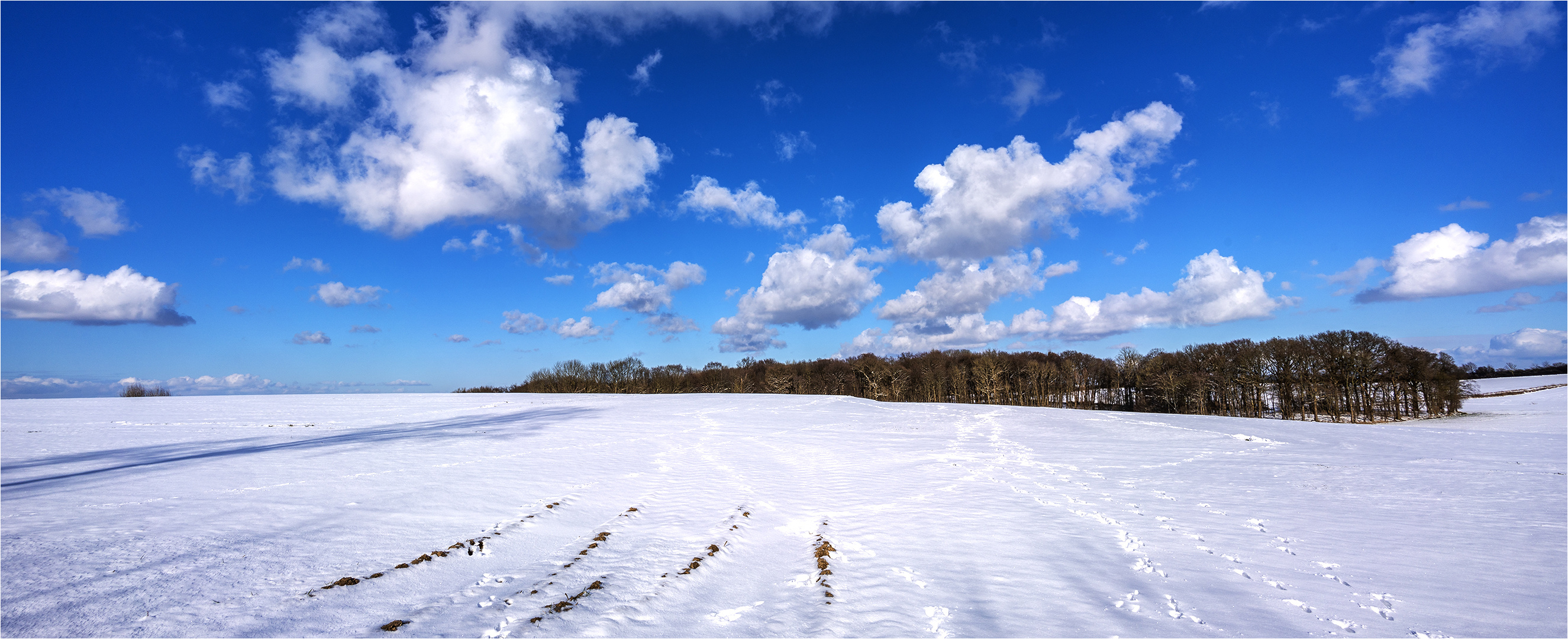 Schnee von gestern … Foto & Bild | winter, schnee, himmel Bilder auf ...