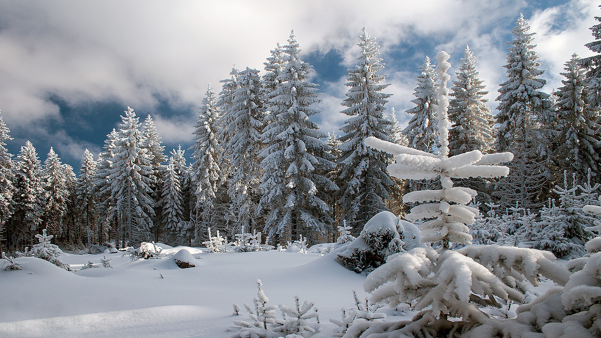 Schnee von gestern.....