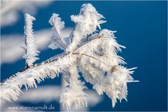 Schnee von gestern