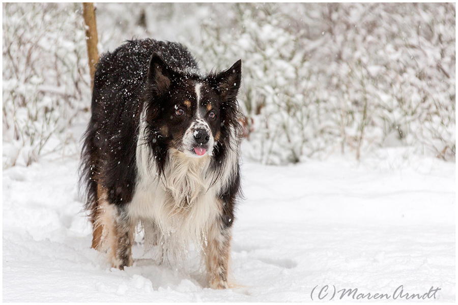 Schnee von gestern