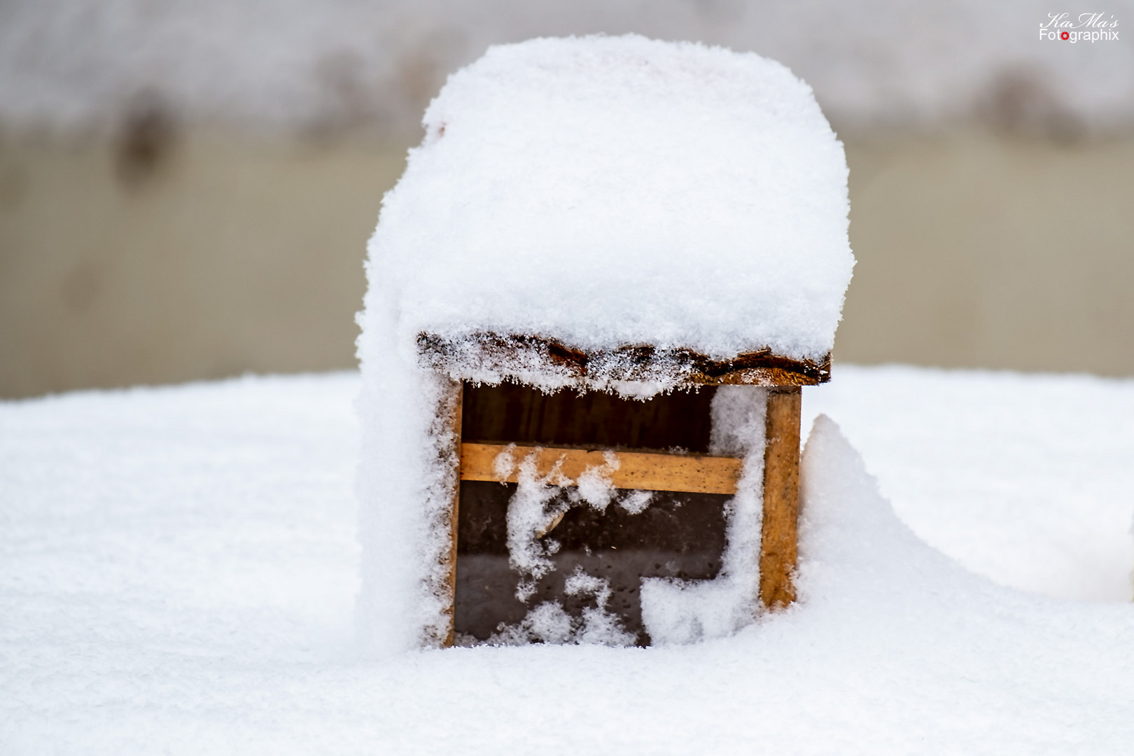 Schnee von Gestern