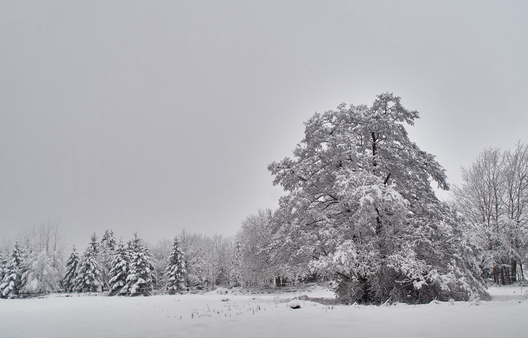 Schnee von gestern