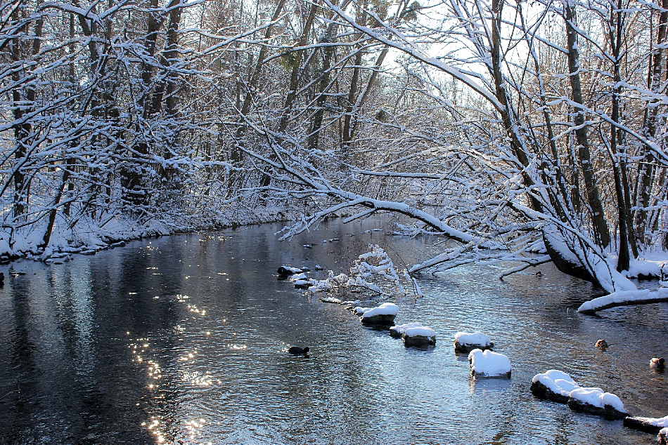 Schnee von gestern