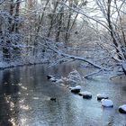 Schnee von gestern