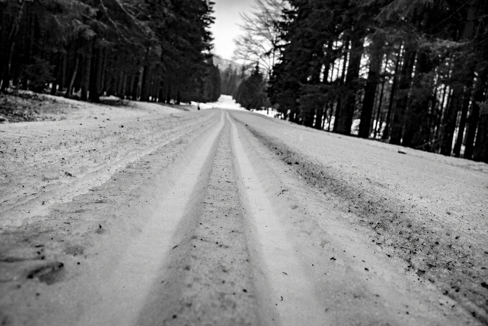 Schnee Von Gestern Schnee Von Gestern