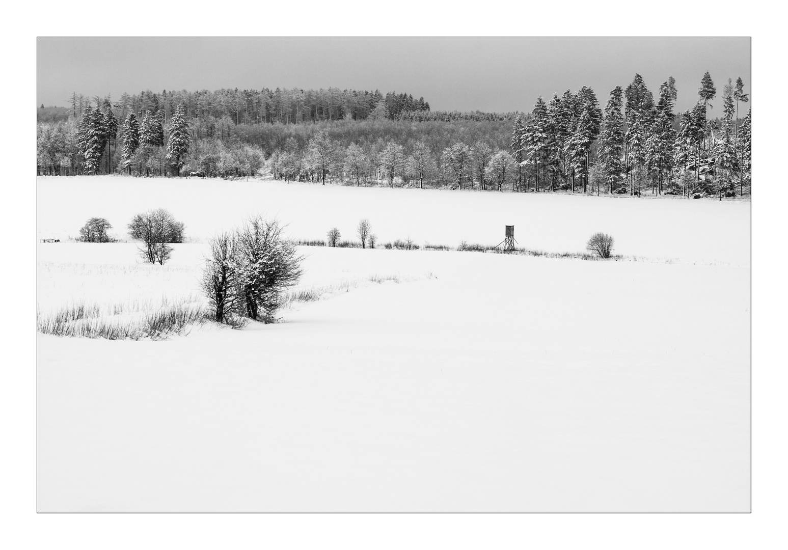 "Schnee von gestern II"