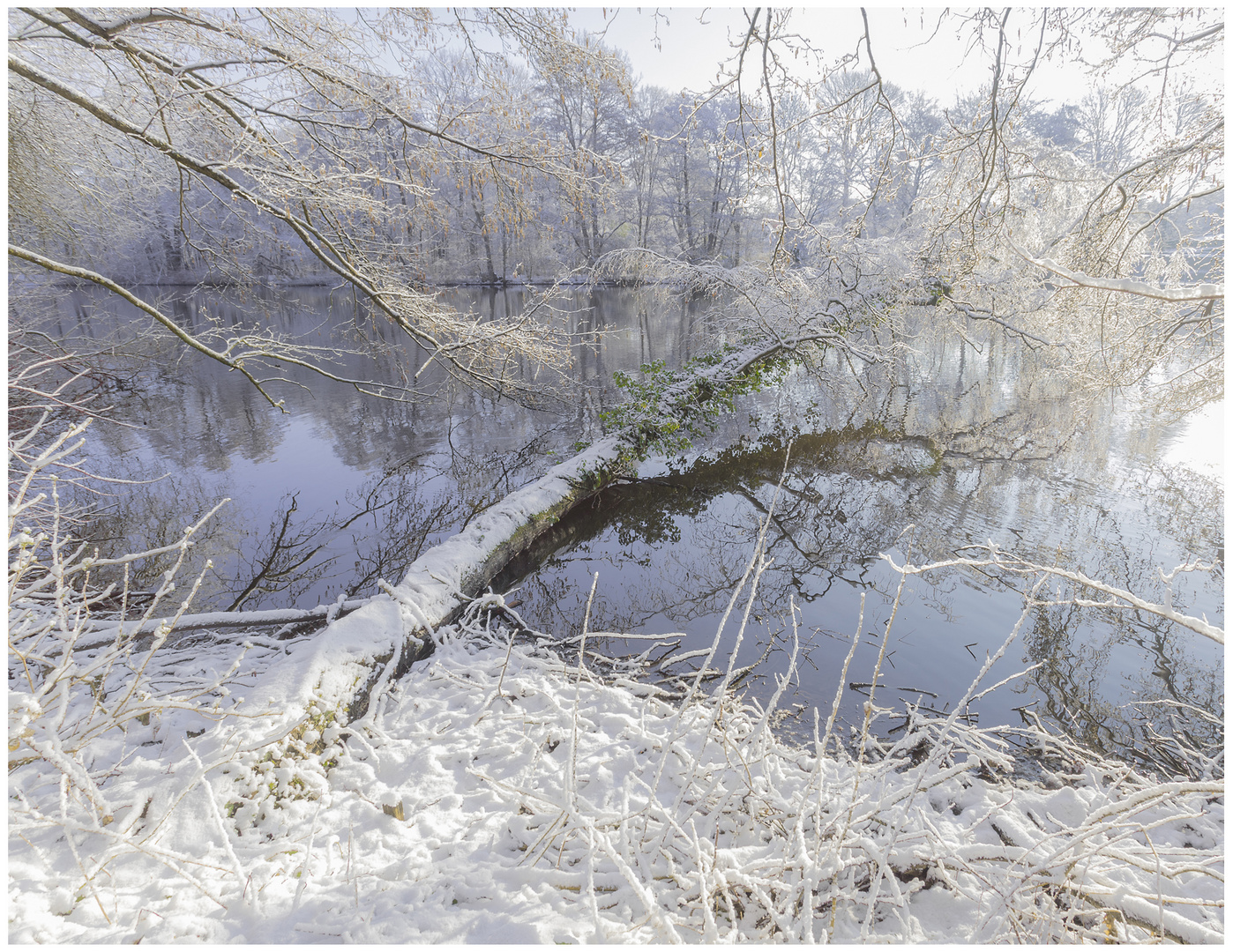 "Schnee von gestern" (März 2023 am Alsterlauf)