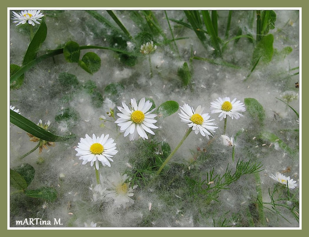 Schnee von gestern (mit Gedicht)