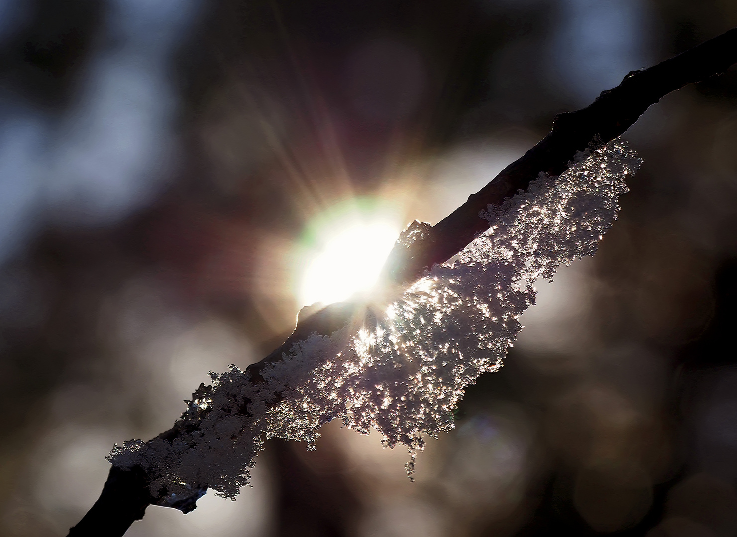 Schnee von gestern! - Neige de hier, maintenant elle a disparu! 