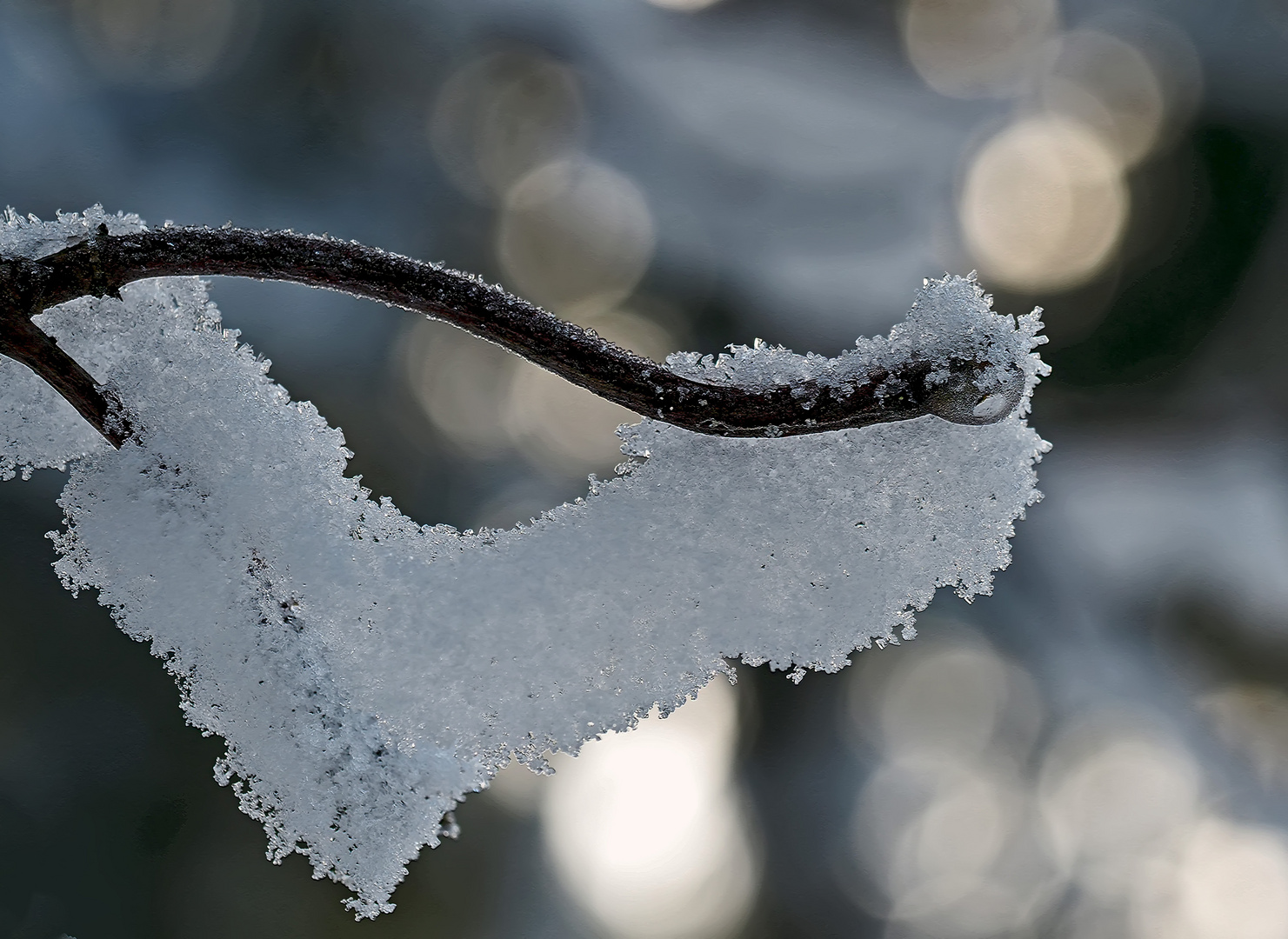 Schnee von gestern! - Neige de hier, maintenant elle a disparu! (photo 2)