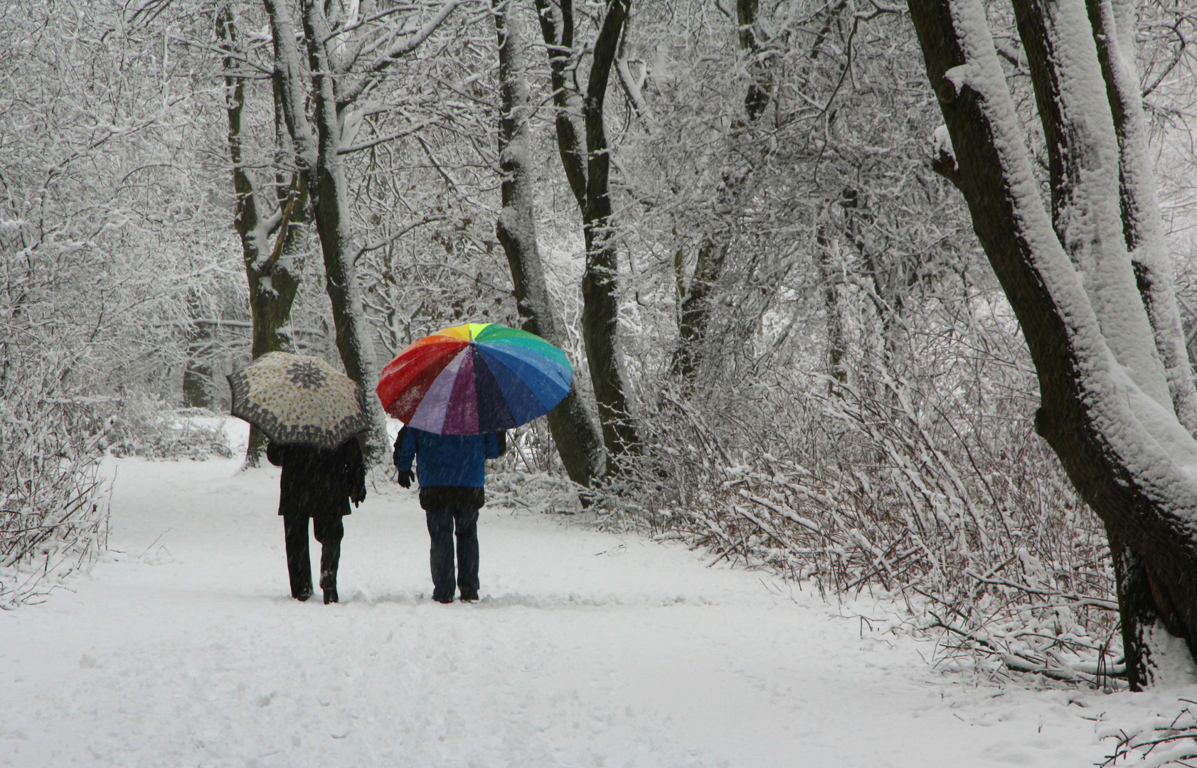 Schnee von gestern / Schirme