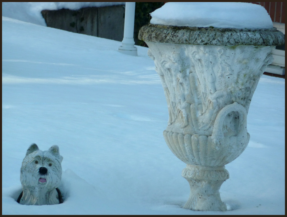 Schnee von gestern und er ist gerettet