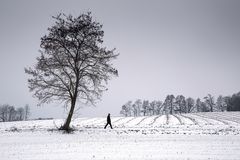 Schnee von heute