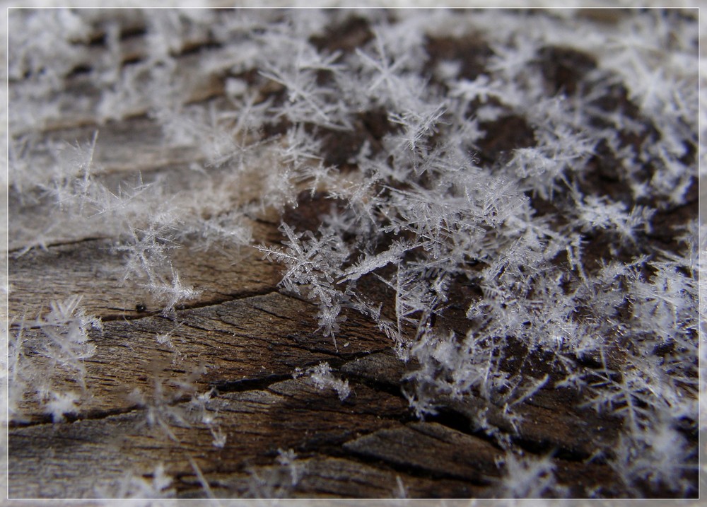 Schnee von heute