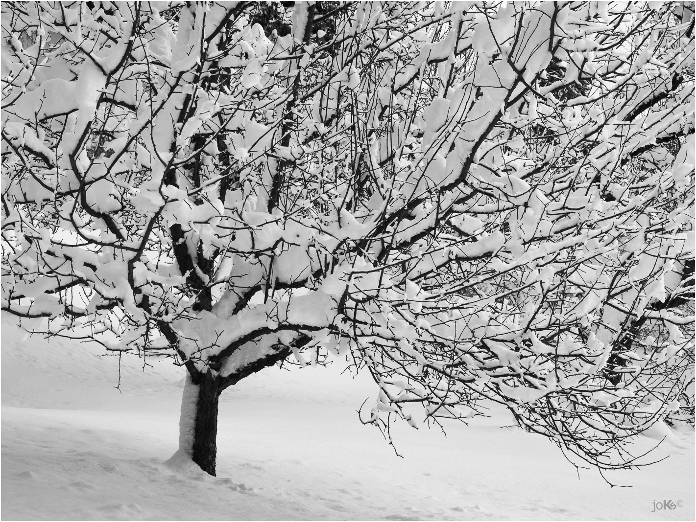 Schnee von heute