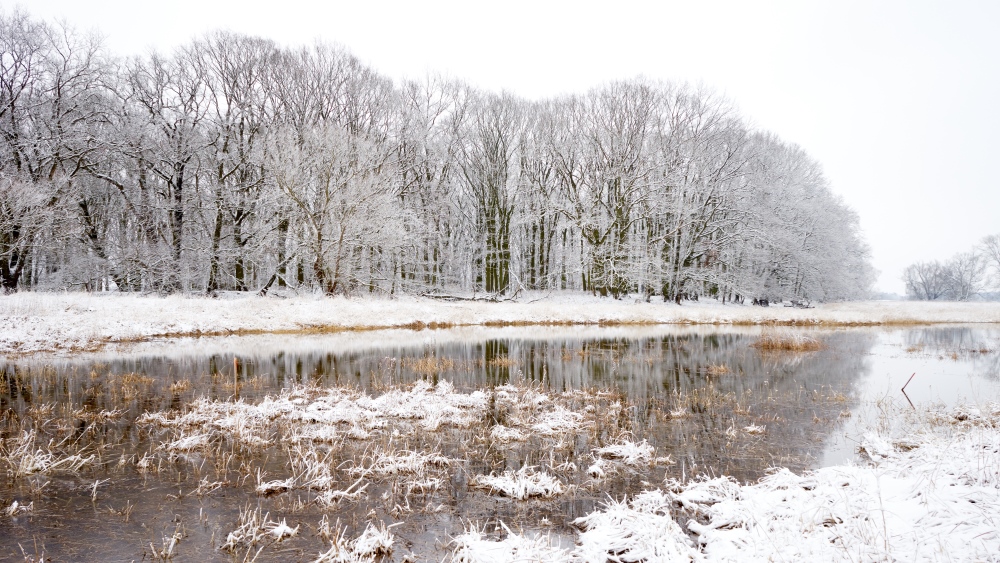 Schnee von oben, Wasser von unten