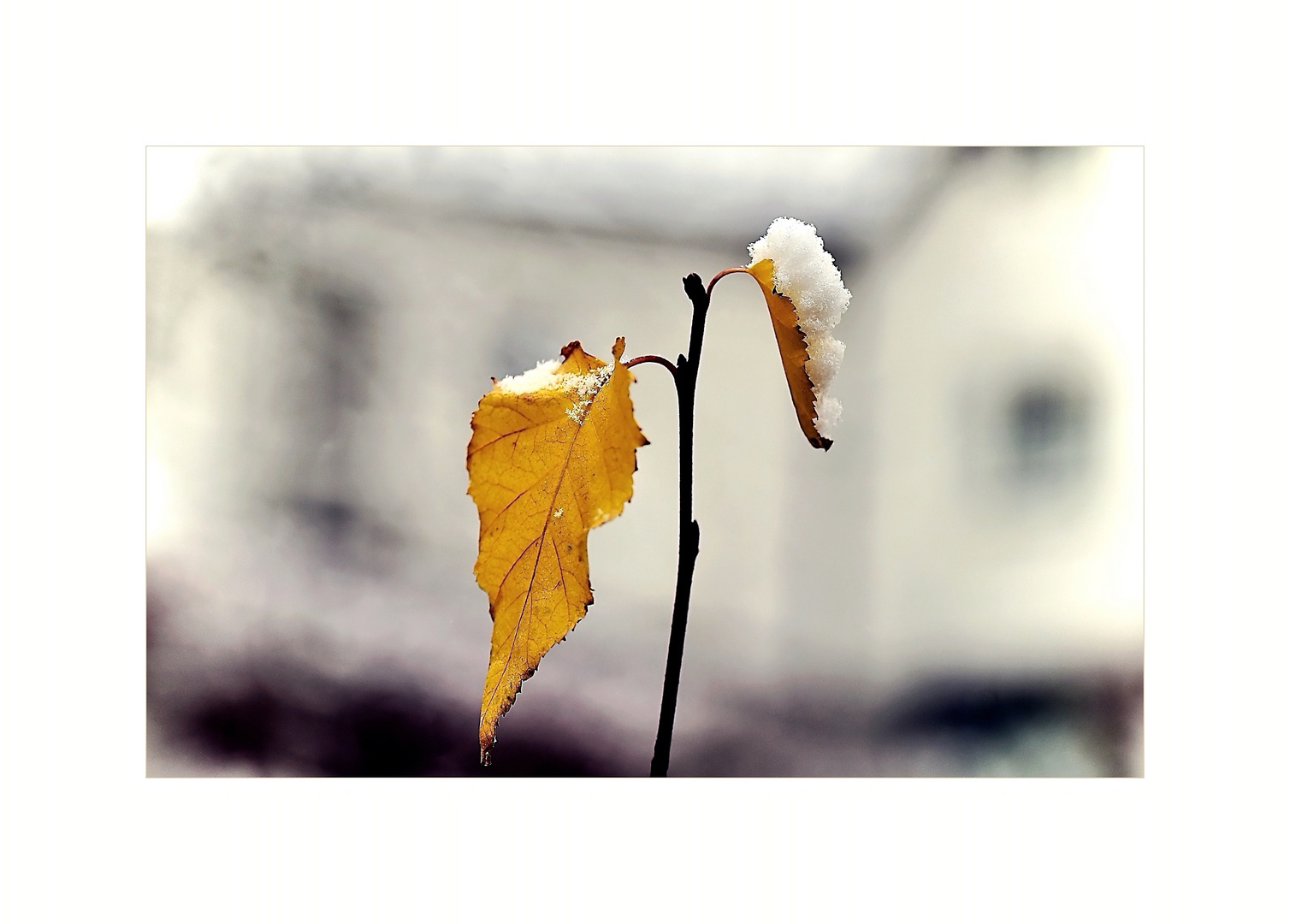 Schnee von rechts