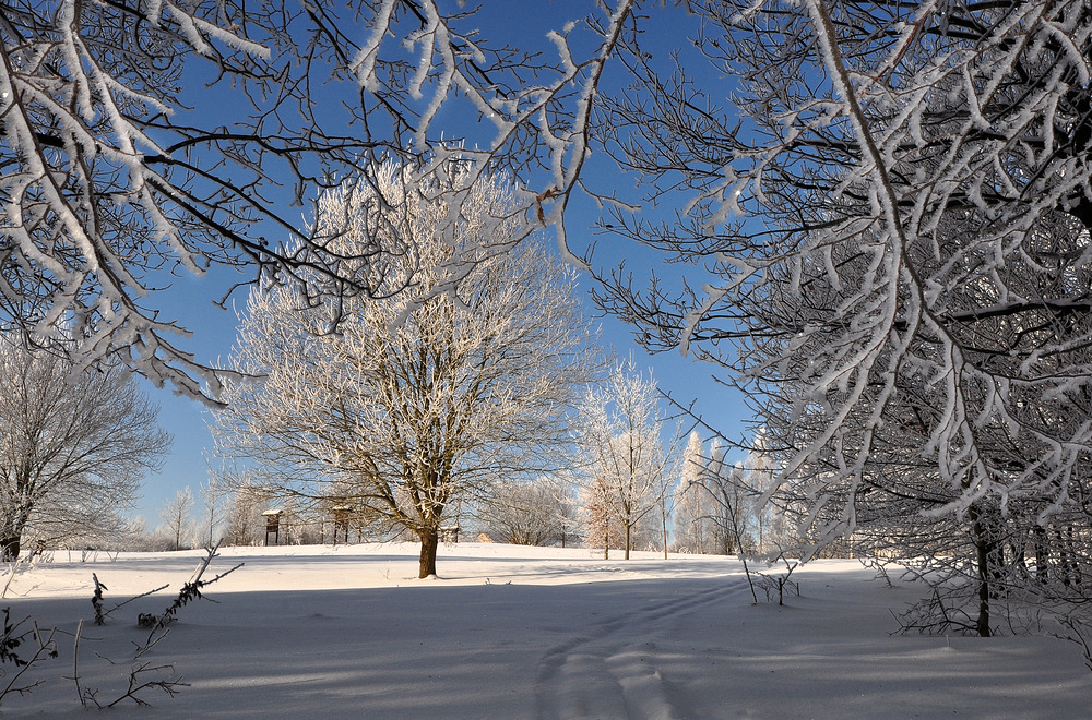 Schnee von vooooooor gestern