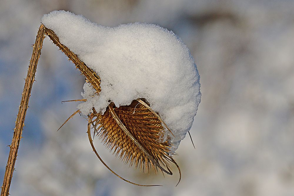 Schnee von Vorgestern