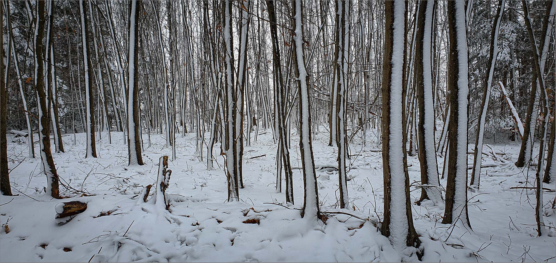 "Schnee von vorgestern"   . . .