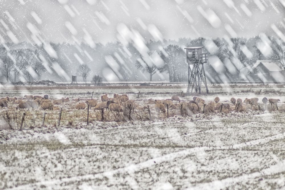 Schnee von vorgestern