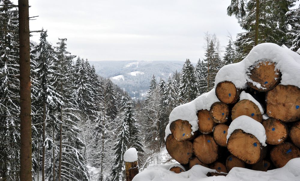 Schnee von (Vor)gestern