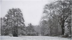 Schnee von vorgestern