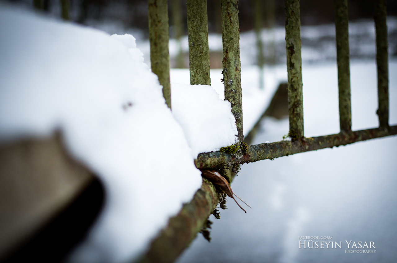 Schnee vs Rost