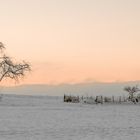 Schnee wär jetzt schön