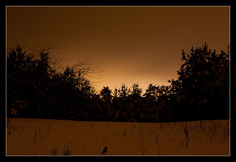 Schnee, Wald, Nacht, Licht der Stadt von MichaelMetzner 