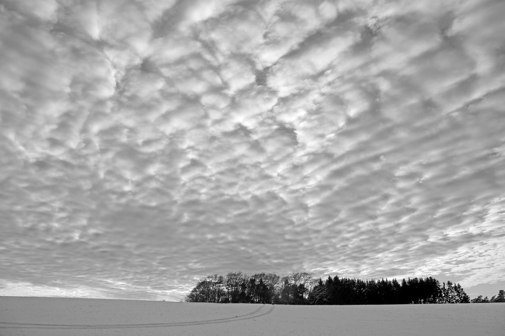 Schnee, Wald und Wolken