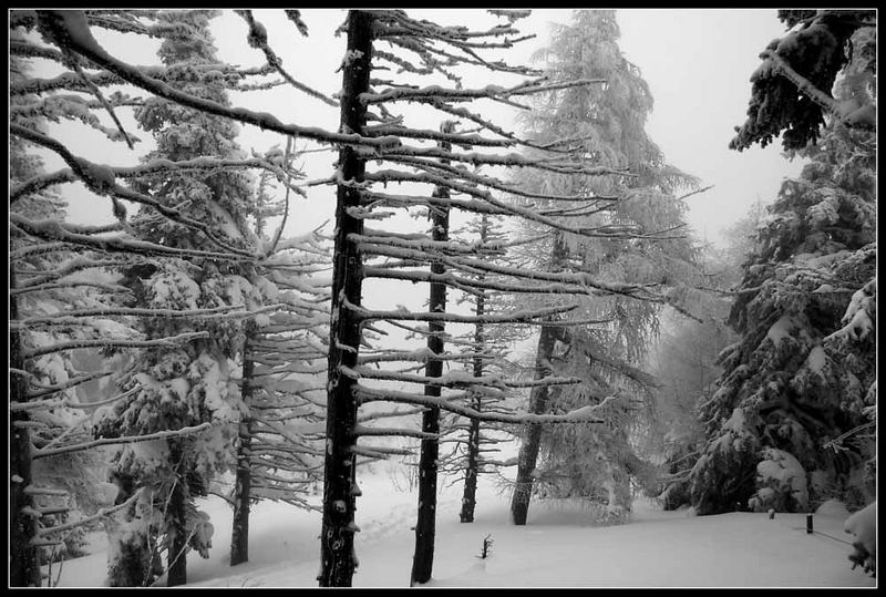 Schnee - Wanderung #1